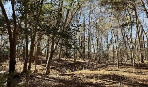 Photo #10 of SOLD property in 224 Badin View Dr, New London, NC 1.0 acres