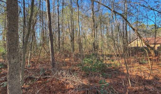Photo #10 of 213 Saddlewood Dr, Goldsboro, NC 0.5 acres