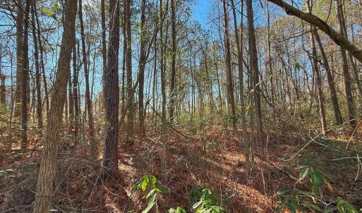 Photo #11 of 213 Saddlewood Dr, Goldsboro, NC 0.5 acres