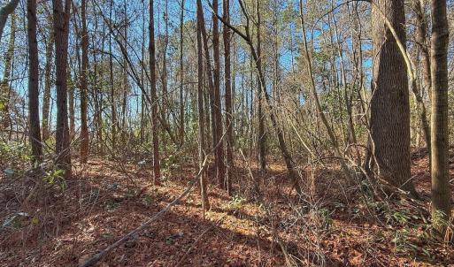 Photo #13 of 213 Saddlewood Dr, Goldsboro, NC 0.5 acres