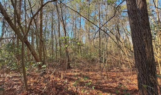 Photo #15 of 213 Saddlewood Dr, Goldsboro, NC 0.5 acres