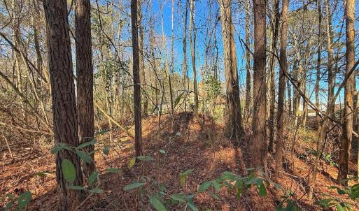 Photo #16 of 213 Saddlewood Dr, Goldsboro, NC 0.5 acres