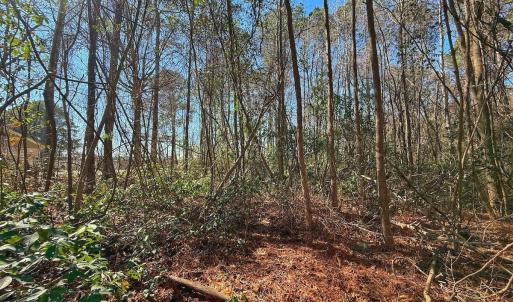 Photo #17 of 213 Saddlewood Dr, Goldsboro, NC 0.5 acres