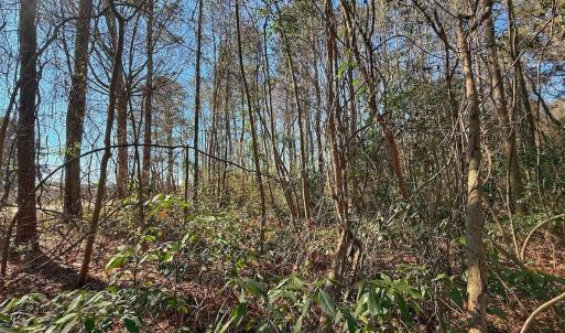 Photo #18 of 213 Saddlewood Dr, Goldsboro, NC 0.5 acres
