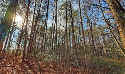 Photo #2 of 213 Saddlewood Dr, Goldsboro, NC 0.5 acres