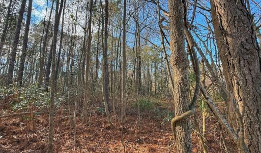 Photo #3 of 213 Saddlewood Dr, Goldsboro, NC 0.5 acres