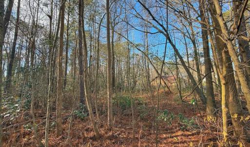 Photo #4 of 213 Saddlewood Dr, Goldsboro, NC 0.5 acres