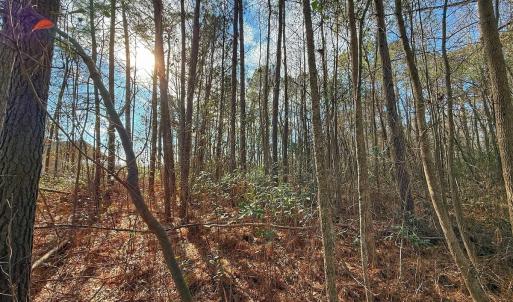 Photo #5 of 213 Saddlewood Dr, Goldsboro, NC 0.5 acres