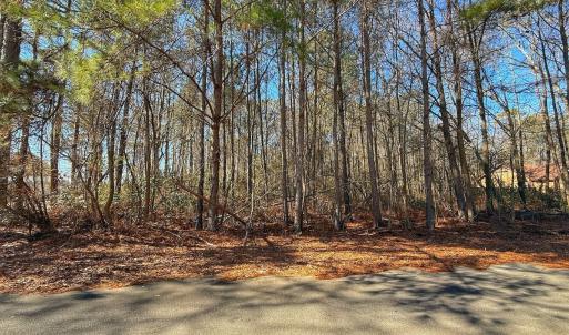 Photo #6 of 213 Saddlewood Dr, Goldsboro, NC 0.5 acres
