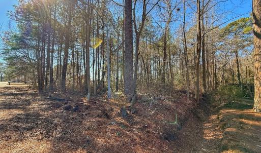 Photo #8 of 213 Saddlewood Dr, Goldsboro, NC 0.5 acres