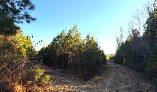 Photo #13 of Off Optimist Rd., Sussex, VA 244.4 acres