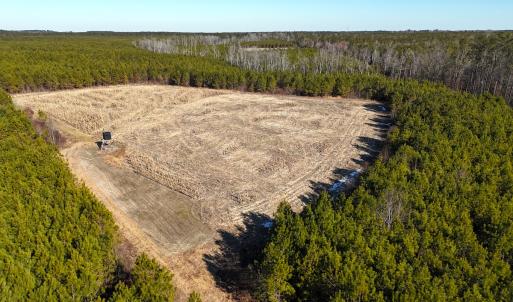 Photo #14 of Off Optimist Rd., Sussex, VA 244.4 acres