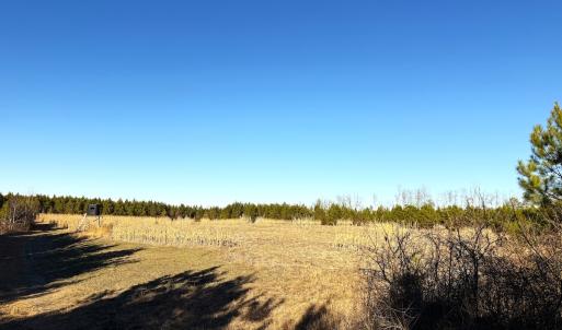 Photo #15 of Off Optimist Rd., Sussex, VA 244.4 acres
