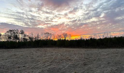 Photo #17 of Off Optimist Rd., Sussex, VA 244.4 acres