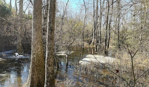 Photo #19 of Off Optimist Rd., Sussex, VA 244.4 acres