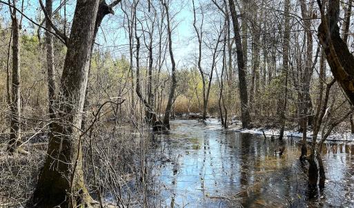 Photo #20 of Off Optimist Rd., Sussex, VA 244.4 acres