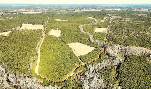 Photo #2 of Off Optimist Rd., Sussex, VA 244.4 acres