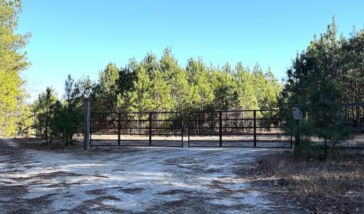 Photo #3 of Off Optimist Rd., Sussex, VA 244.4 acres