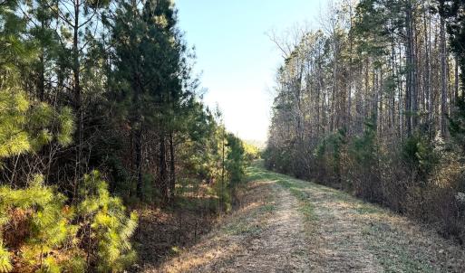 Photo #4 of Off Optimist Rd., Sussex, VA 244.4 acres