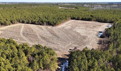 Photo #5 of Off Optimist Rd., Sussex, VA 244.4 acres