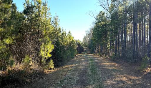 Photo #7 of Off Optimist Rd., Sussex, VA 244.4 acres