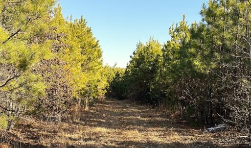 Photo #9 of Off Optimist Rd., Sussex, VA 244.4 acres