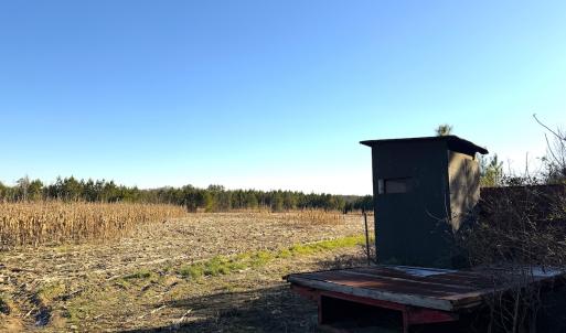 Photo #10 of Off Optimist Rd., Sussex, VA 244.4 acres
