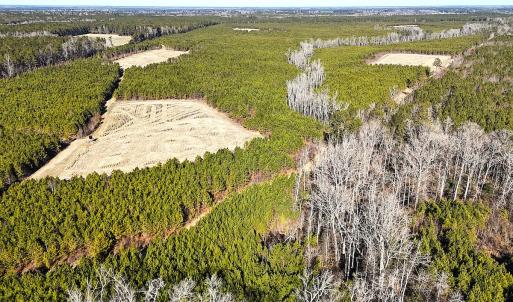 Photo #21 of Off Optimist Rd., Sussex, VA 244.4 acres