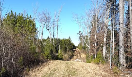 Photo #22 of Off Optimist Rd., Sussex, VA 244.4 acres