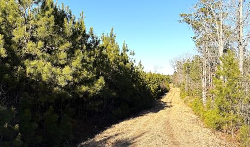 Photo #23 of Off Optimist Rd., Sussex, VA 244.4 acres