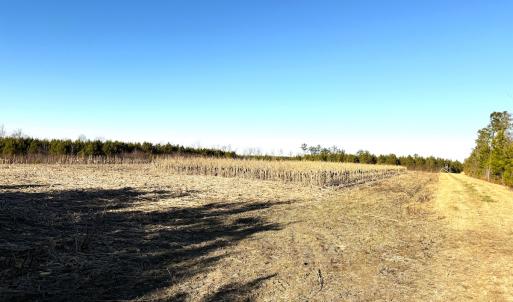 Photo #25 of Off Optimist Rd., Sussex, VA 244.4 acres