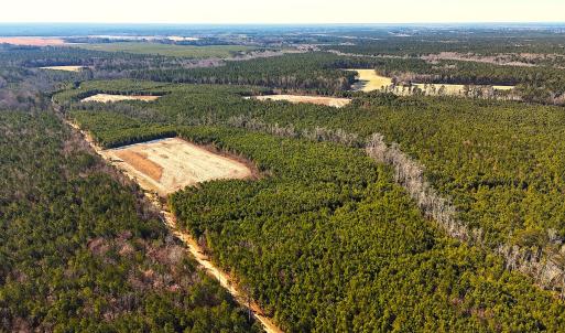 Photo #30 of Off Optimist Rd., Sussex, VA 244.4 acres
