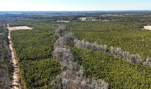 Photo #31 of Off Optimist Rd., Sussex, VA 244.4 acres
