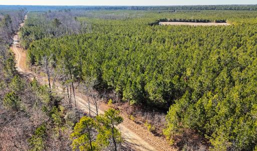 Photo #32 of Off Optimist Rd., Sussex, VA 244.4 acres