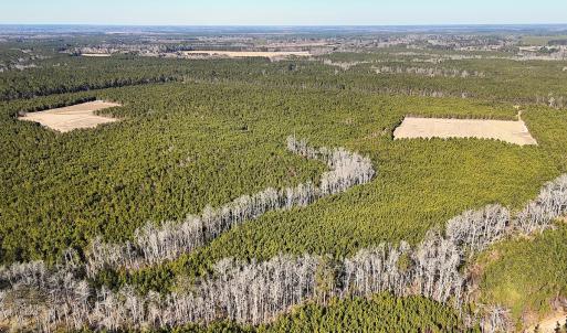 Photo #33 of Off Optimist Rd., Sussex, VA 244.4 acres