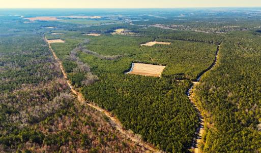 Photo #34 of Off Optimist Rd., Sussex, VA 244.4 acres