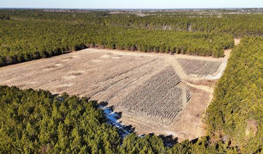 Photo #35 of Off Optimist Rd., Sussex, VA 244.4 acres