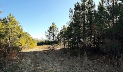 Photo #36 of Off Optimist Rd., Sussex, VA 244.4 acres