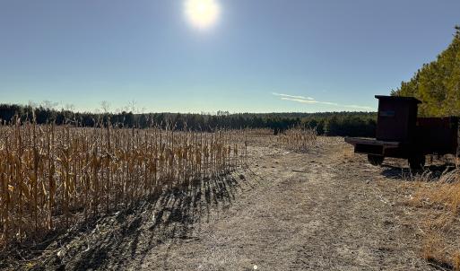 Photo #37 of Off Optimist Rd., Sussex, VA 244.4 acres