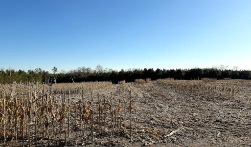 Photo #40 of Off Optimist Rd., Sussex, VA 244.4 acres