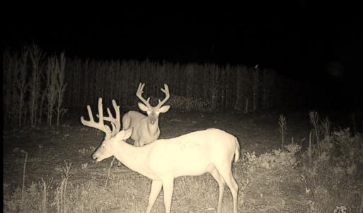 Photo #41 of Off Optimist Rd., Sussex, VA 244.4 acres