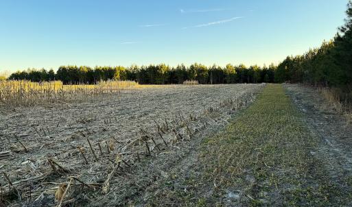Photo #42 of Off Optimist Rd., Sussex, VA 244.4 acres
