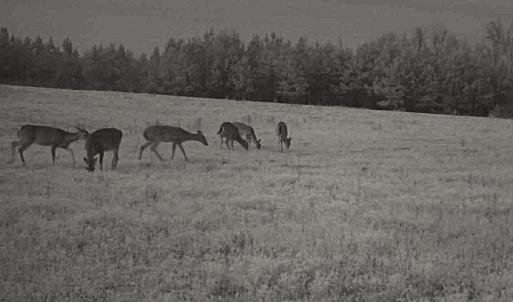 Photo #44 of Off Optimist Rd., Sussex, VA 244.4 acres