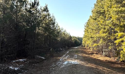 Photo #46 of Off Optimist Rd., Sussex, VA 244.4 acres