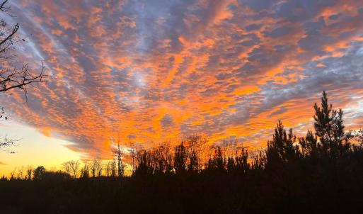 Photo #54 of Off Optimist Rd., Sussex, VA 244.4 acres