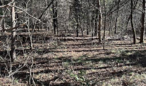Photo #13 of Off Playmore Beach Road, Morganton, NC 22.6 acres