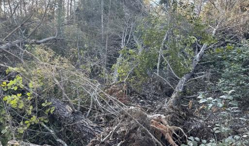 Photo #16 of Off Playmore Beach Road, Morganton, NC 22.6 acres