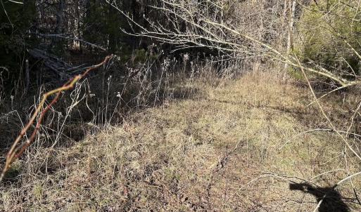 Photo #18 of Off Playmore Beach Road, Morganton, NC 22.6 acres