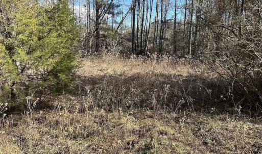 Photo #22 of Off Playmore Beach Road, Morganton, NC 22.6 acres