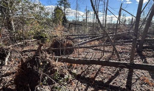 Photo #24 of Off Playmore Beach Road, Morganton, NC 22.6 acres